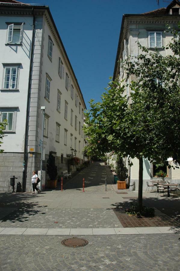 Vitez Apartment II Liubliana Exterior foto